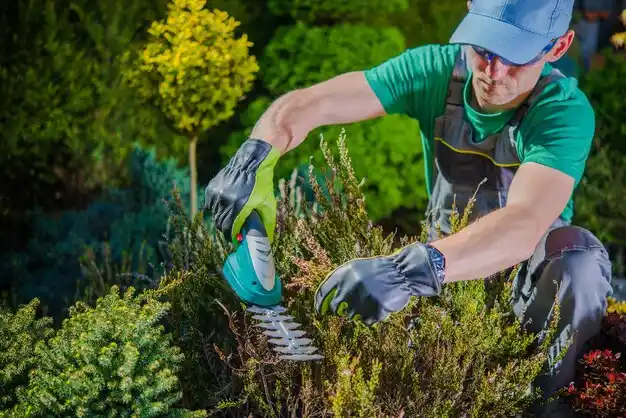 landscaping services Hollyvilla